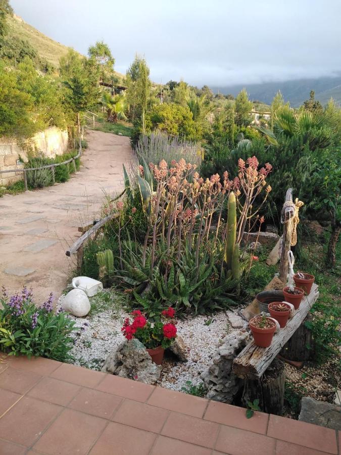 Il Corbezzolo Suite Appartament Кастеллуццо Экстерьер фото